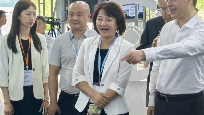 上海原厂配件批发市场：如何辨别真伪，保障采购质量